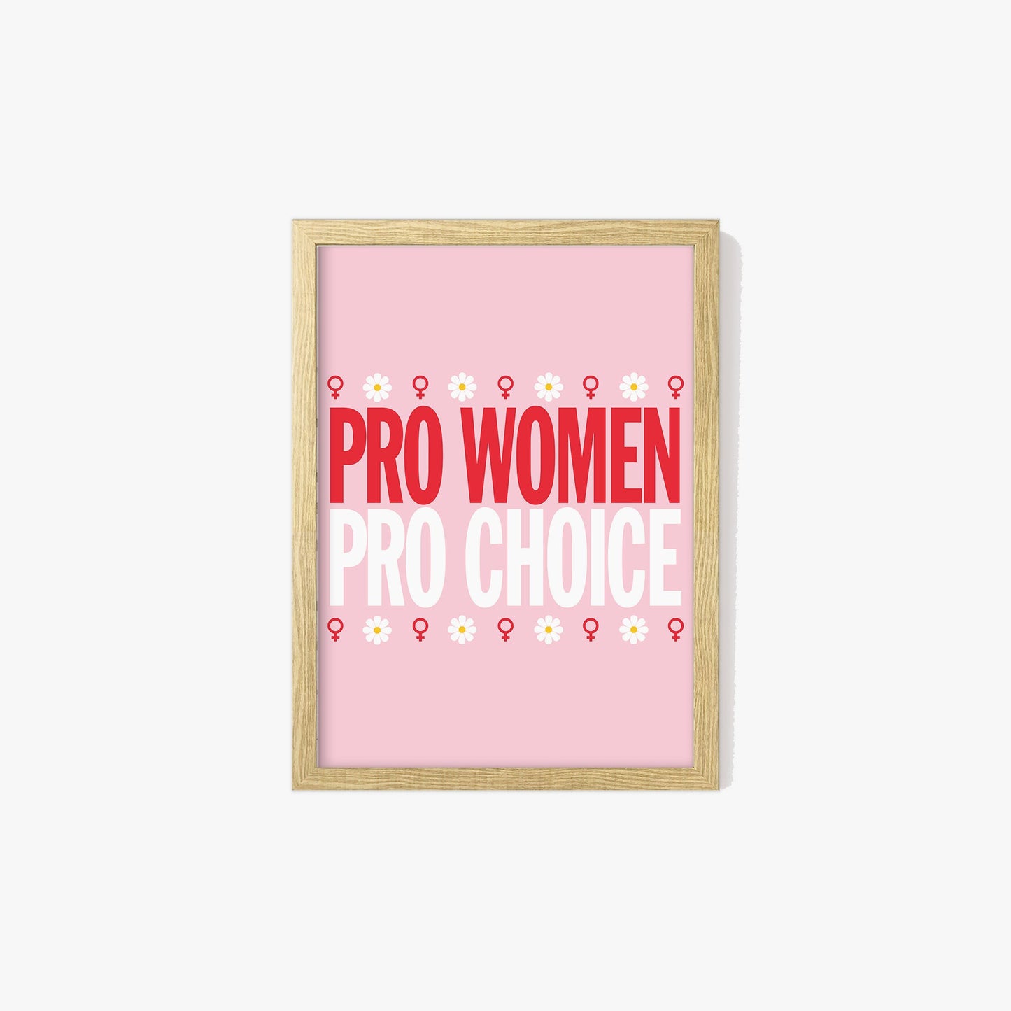 Pro Women Pro Choice Print