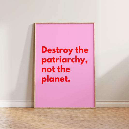 Destroy The Patriarchy Not The Planet Print