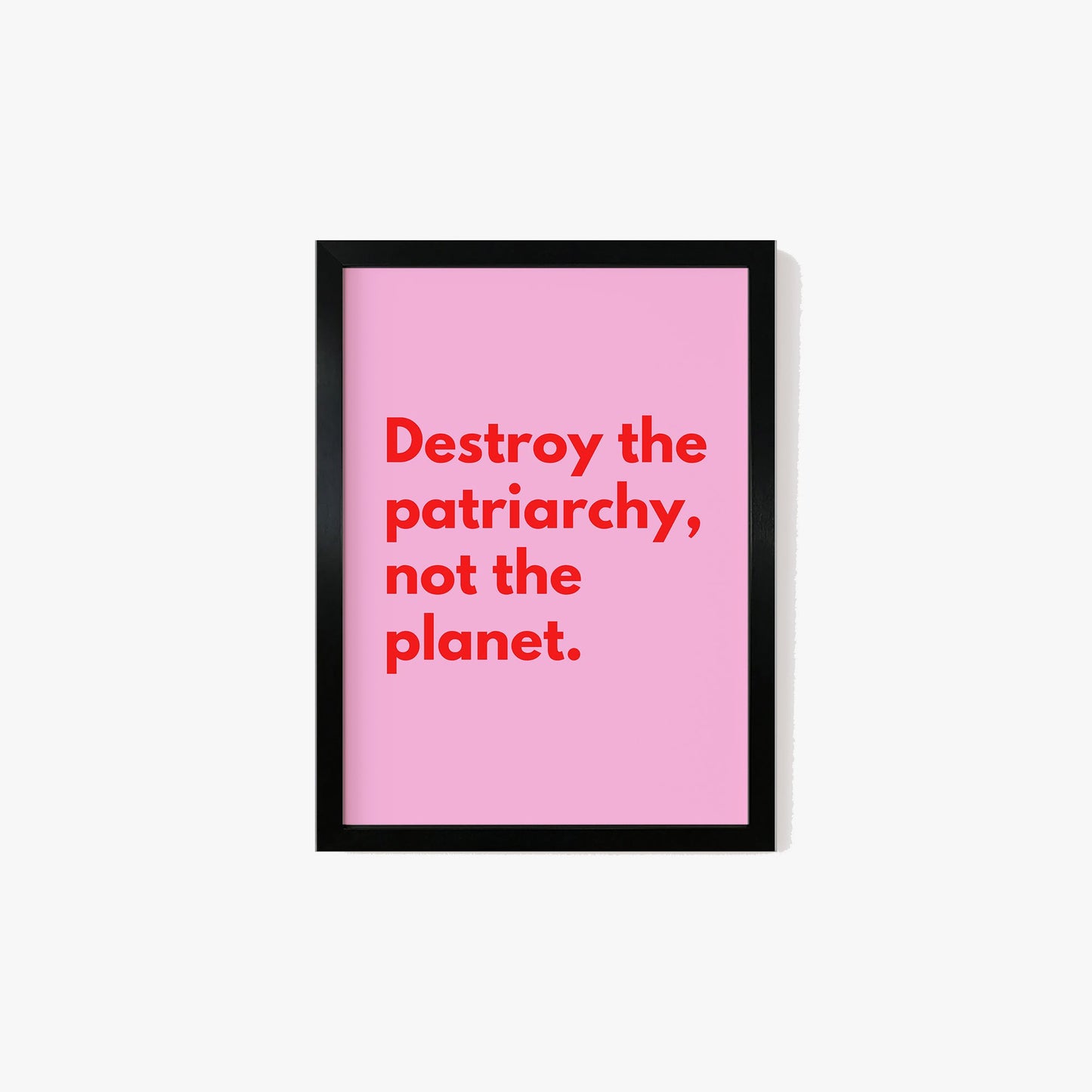 Destroy The Patriarchy Not The Planet Print