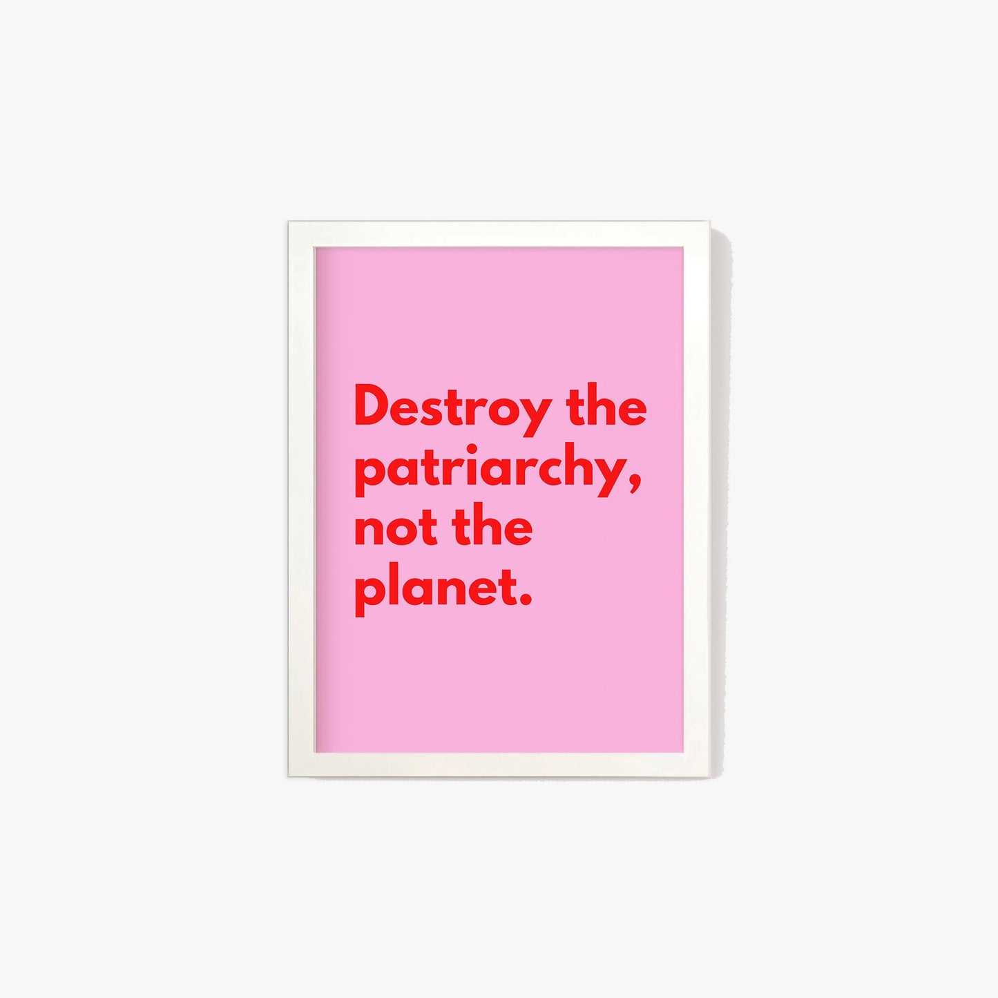 Destroy The Patriarchy Not The Planet Print