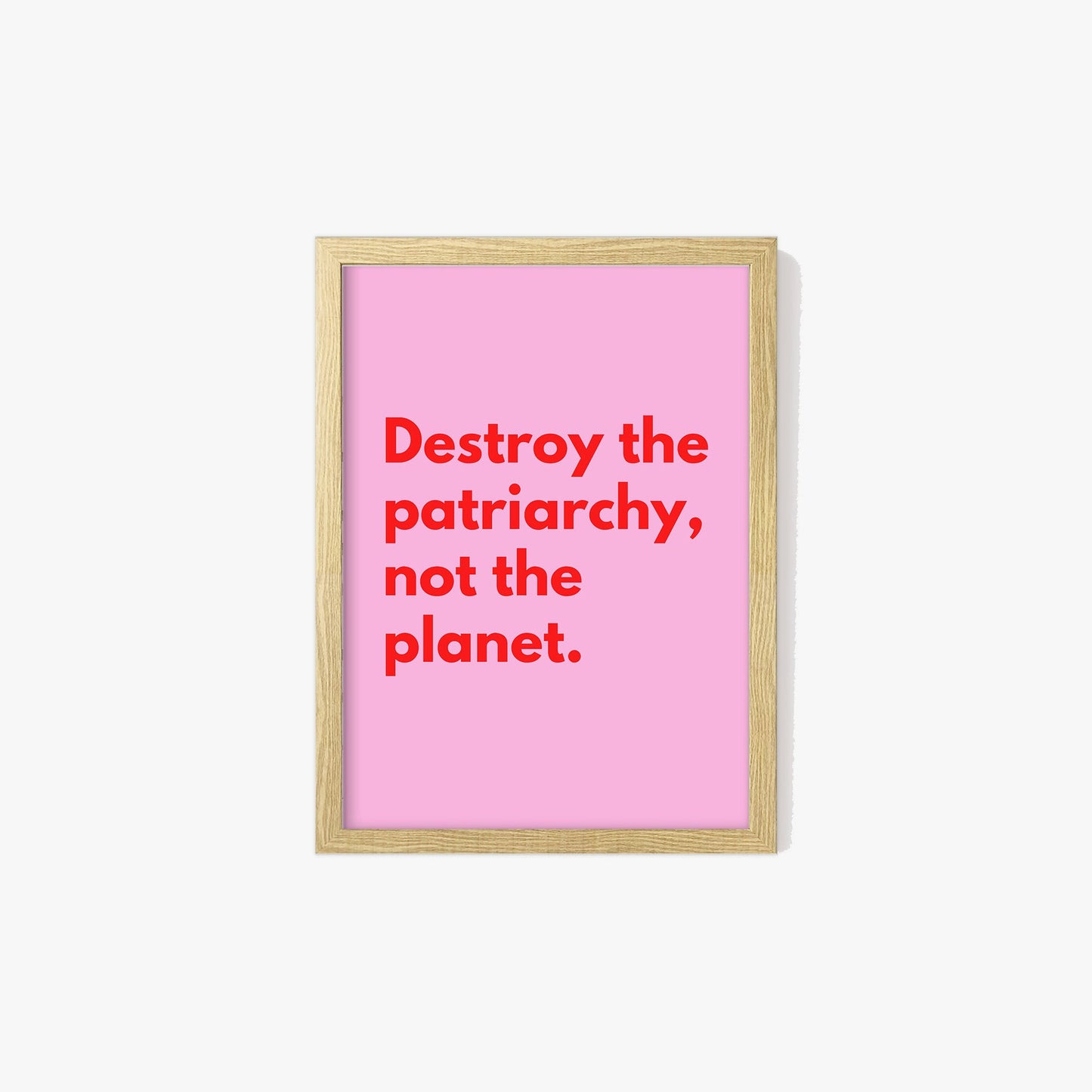 Destroy The Patriarchy Not The Planet Print