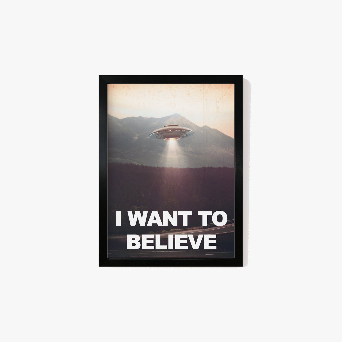 I Want To Believe Print