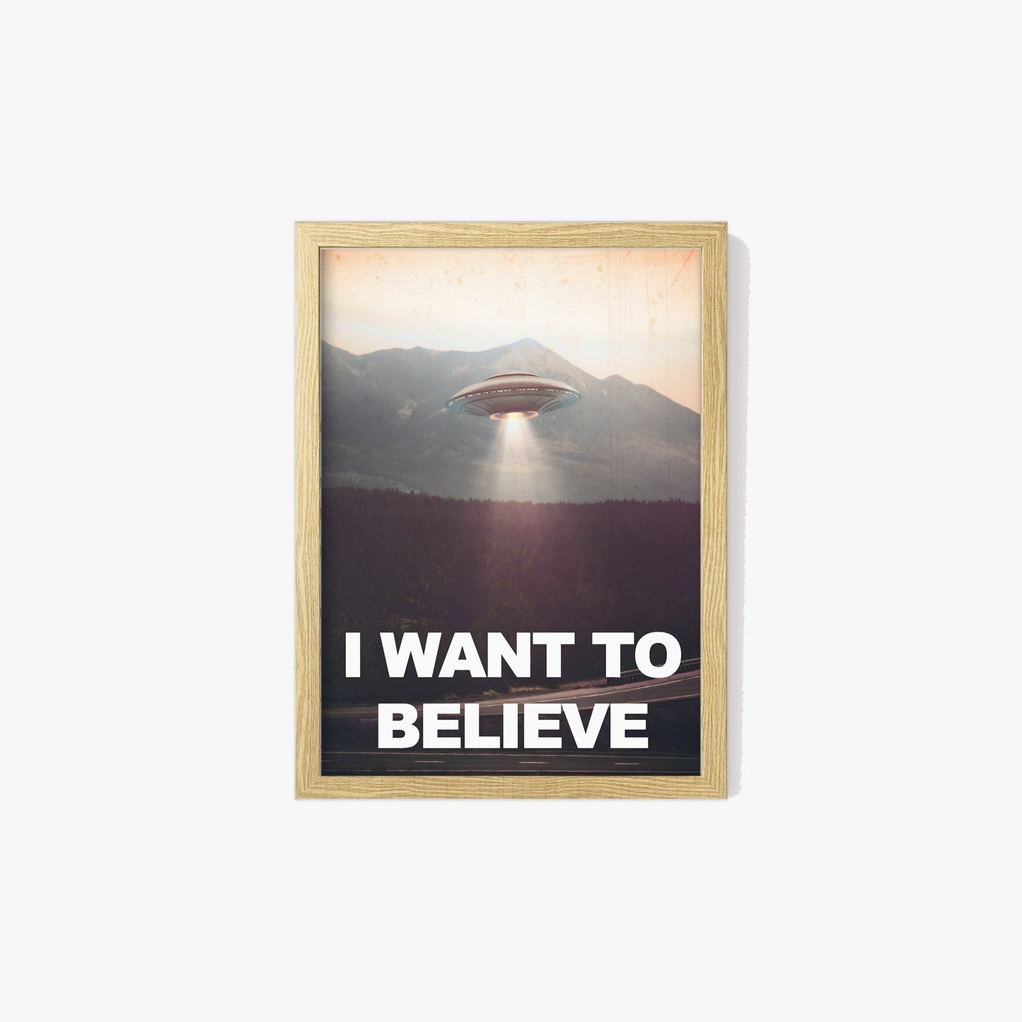 I Want To Believe Print